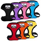 Downtown Pet Supply Comfort Control Dog Walking Harness, Medium - Neck 9' to 11.5', Black