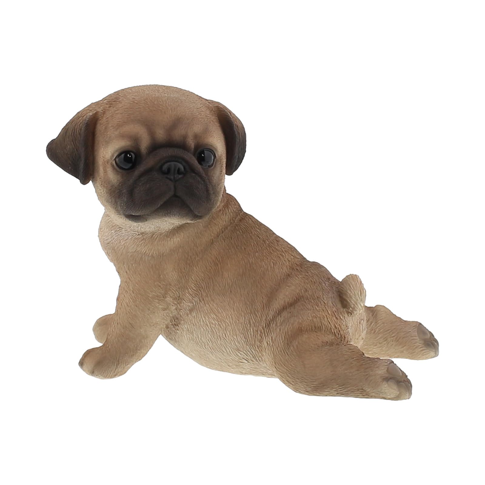 オーダーページ  パグ犬 記念撮影📸 #pugs #wanlife #パグ #boohoowookennel #パグブリーダー