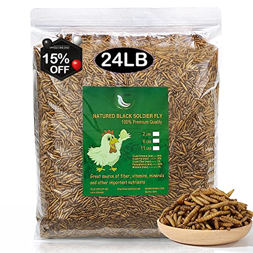 Euchirus Non-GMO 24 lbs Black Soldier Fly forChicken Fish,High-Protein,Lrage Black Soldier Fly(24LB-Black Soldier Fly)