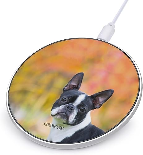Miniatura 1 de Boston Terrier Dog Female Outside Wireless Charger Pad 10W Fast Charging Pad Compatible with iPhone 15 14 13 12 Series Samsung Galaxy Series