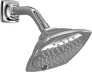 TS301A65#CP Traditional Collection Series B 5-1/2" Multi-Spray Showerhead, Polished Chrome Chrome