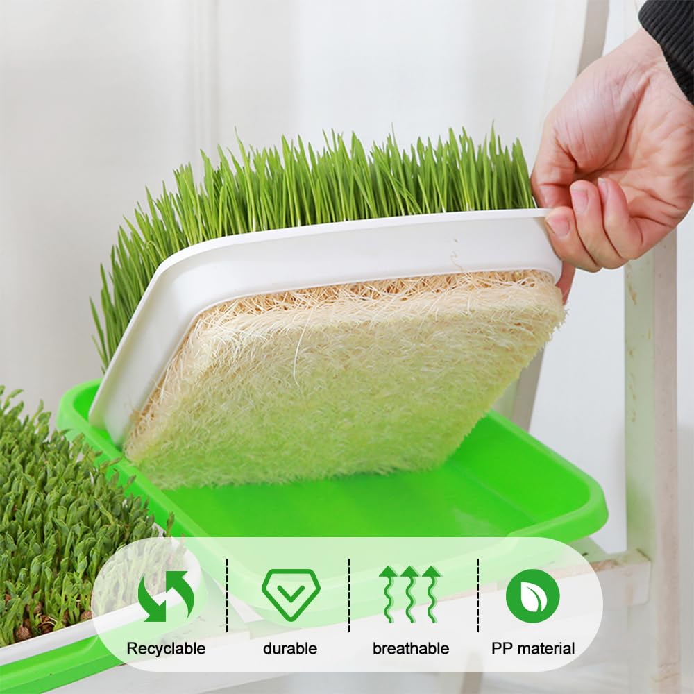 6 Piezas Bandeja de Germinación de Semillas 32.5x24.5x4.5cm Bandejas para Germinar Brotes Germinador Semillas de PláStico para Cultivo de Frijoles Mungo Alfalfa y Hierba de Trigo