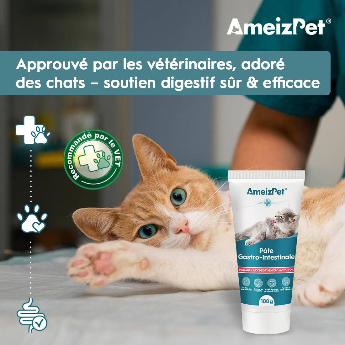 AmeizPet Pâte Gastro Intestinale pour Chats, Soutien Gastro Intestinal pour la Santé Intestinale et la Flore Intestinale, Complément Digestif pour Chats et Chatons, 100 g (3.53 Oz)