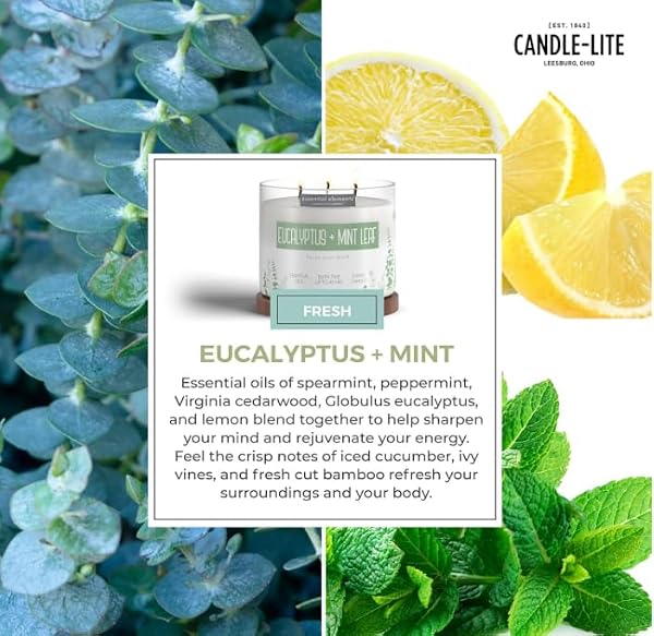Essential Elements by Candle-lite Scented Candles, Eucalyptus & Mint Leaf Fragrance, One 14.75 oz. Three-Wick Aromatherapy Candle with 45 Hours of Burn Time, Off-White Color by CANDLE-LITE - Image 5