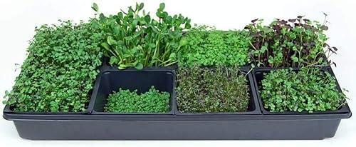 Miniatura 3 de Micro-Mat Minis - Almohadillas hidropónicas de cultivo - para producción orgánica - germinación de plantas y semillas pasto de trigo, microverdes,