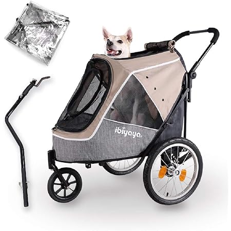 puppy bones for chewing