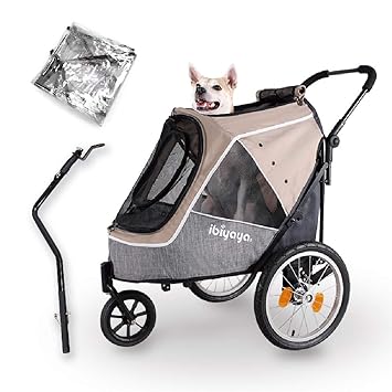 amazon buggies