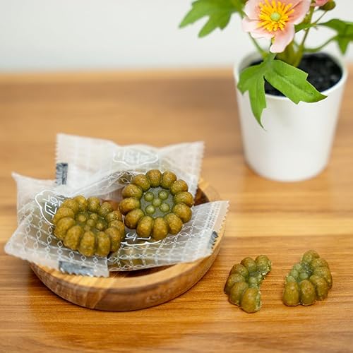Miniatura 5 de Galletas tradicionales coreanas dulces de yak gwa de miel, 3 sabores variados, original, manzana canela, y matcha (7 onzas, paquete de 3)