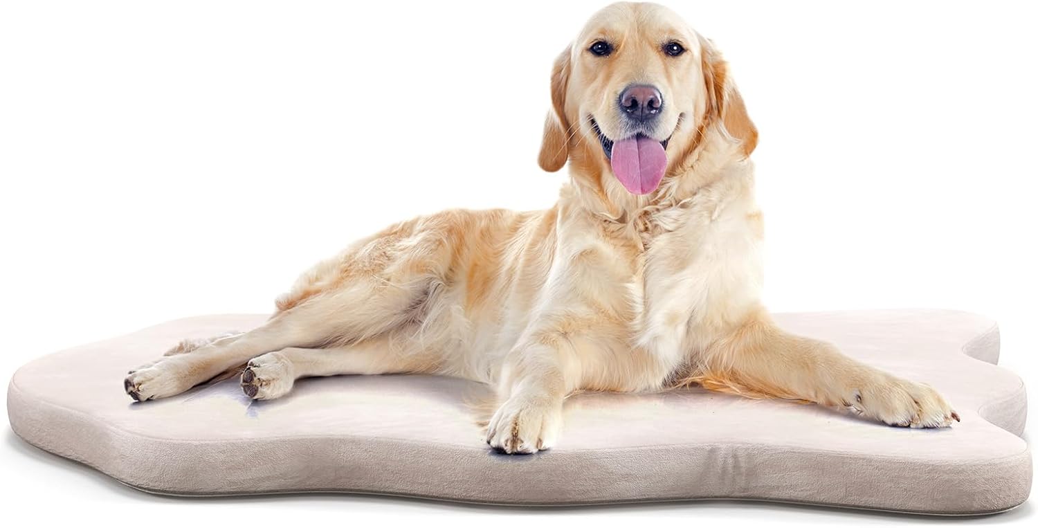 S AFSTAR Dog Bed for Large Dogs, Orthopedic Pet Sleeping Mat with Memory Foam Support, Removable Cover, Non-Slip Bottom Dog Crate Pat for Large Medium Small Dogs, 43"x 26" Inch (Beige)