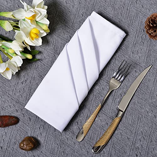 Alevel Cloth Napkins 20X20 Inch 12 Pack, Embroidered Table Napkins, 250 Gsm Thick Absorbent, Soft Washable Dinner Napkins (White1) #TOP5