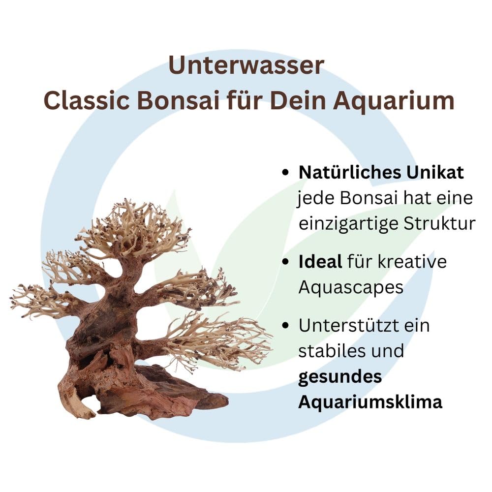 AquaOne Aquarium Classic Bonsai Baum XL Wurzel Oriental Holz 40x15x30 cm I Aquascaping Dekoration I Natur Unikat Bonsaibaum I Landschaft Deko Unterwasserlandschaft