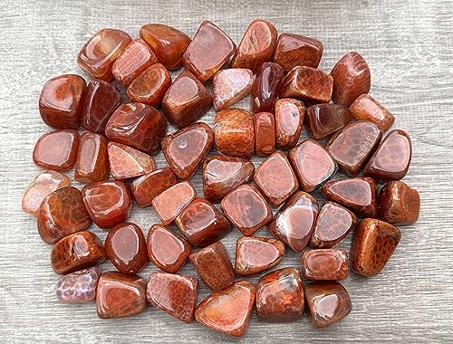 Image of GAF TREASURES 1 /2 LB Fire Agate Tumbled Stones, Polished Fire Agate Gemstone, Fire Agate Healing Crystals (Fire Agate)
