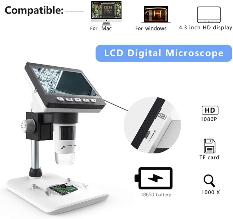 40X-1000X Magnification Binocular Head Research-Grade Compound Lab Microscope with Wide-Field 10X and 25X Eyepieces Mechanical Stage Condenser