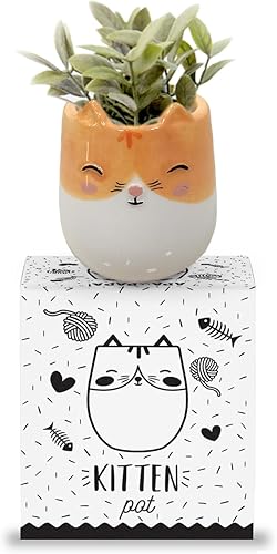 Miniatura 6 de Macetero de cerámica para interiores y exteriores, 3 x 3 x 4 pulgadas, bonito pintado a mano diseñado en Argentina, práctico agujero de drenaje