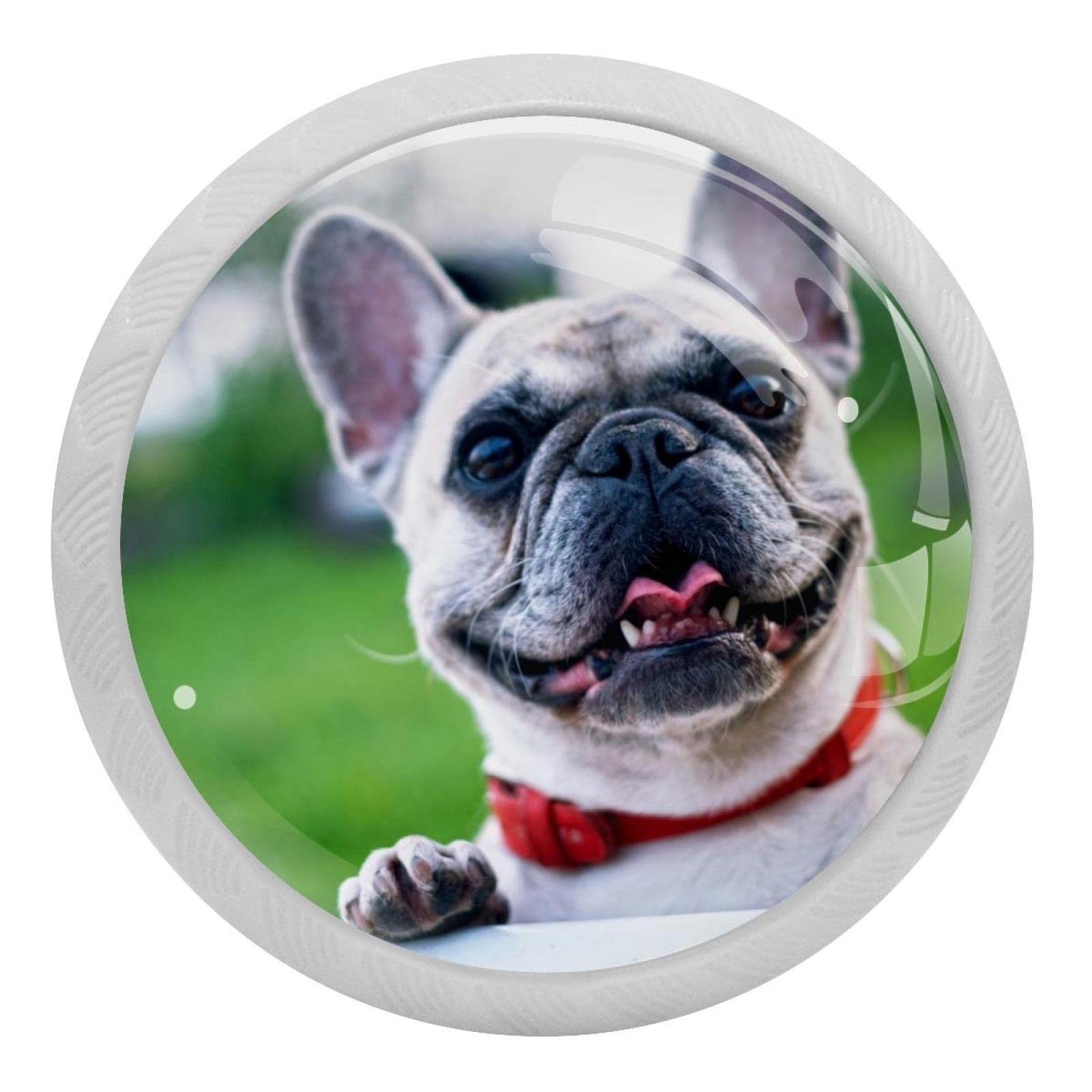 Boutons ronds décoratifs en verre blanc phosphorescent bouledogue souriant