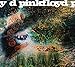 A Saucerful of Secrets