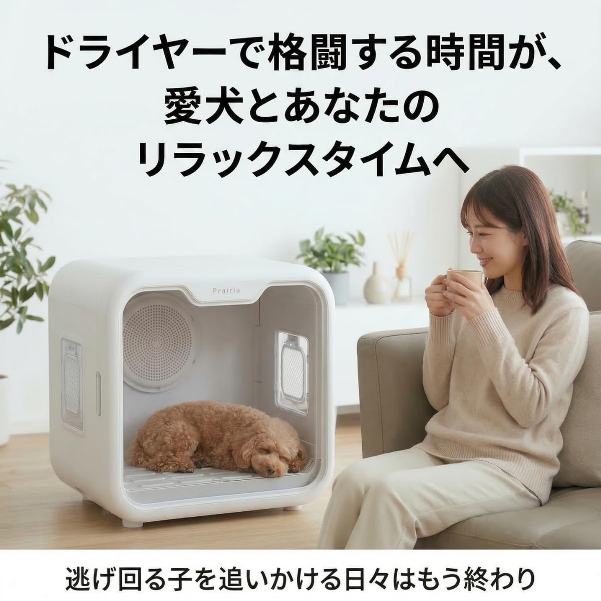 Amazon | ペットドライヤーボックス Prairia 小型犬・猫用 コンパクト