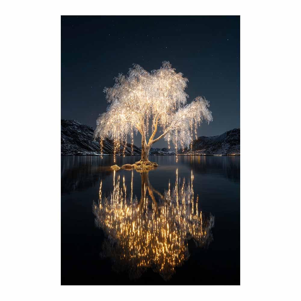 HOQIU Canvas Wall Art Winterse Star Tree tree poster, landscape wall art, for Living Room Bedroom Bathroom.(Multicolor)-70x100cm Unframed