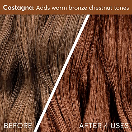 Image of Madison Reed Color Therapy - Castagna Bronze | SmartDye Color Depositing Hair Mask, Adds Warm Chestnut Tones, Deep Conditioner, Ammonia-Free