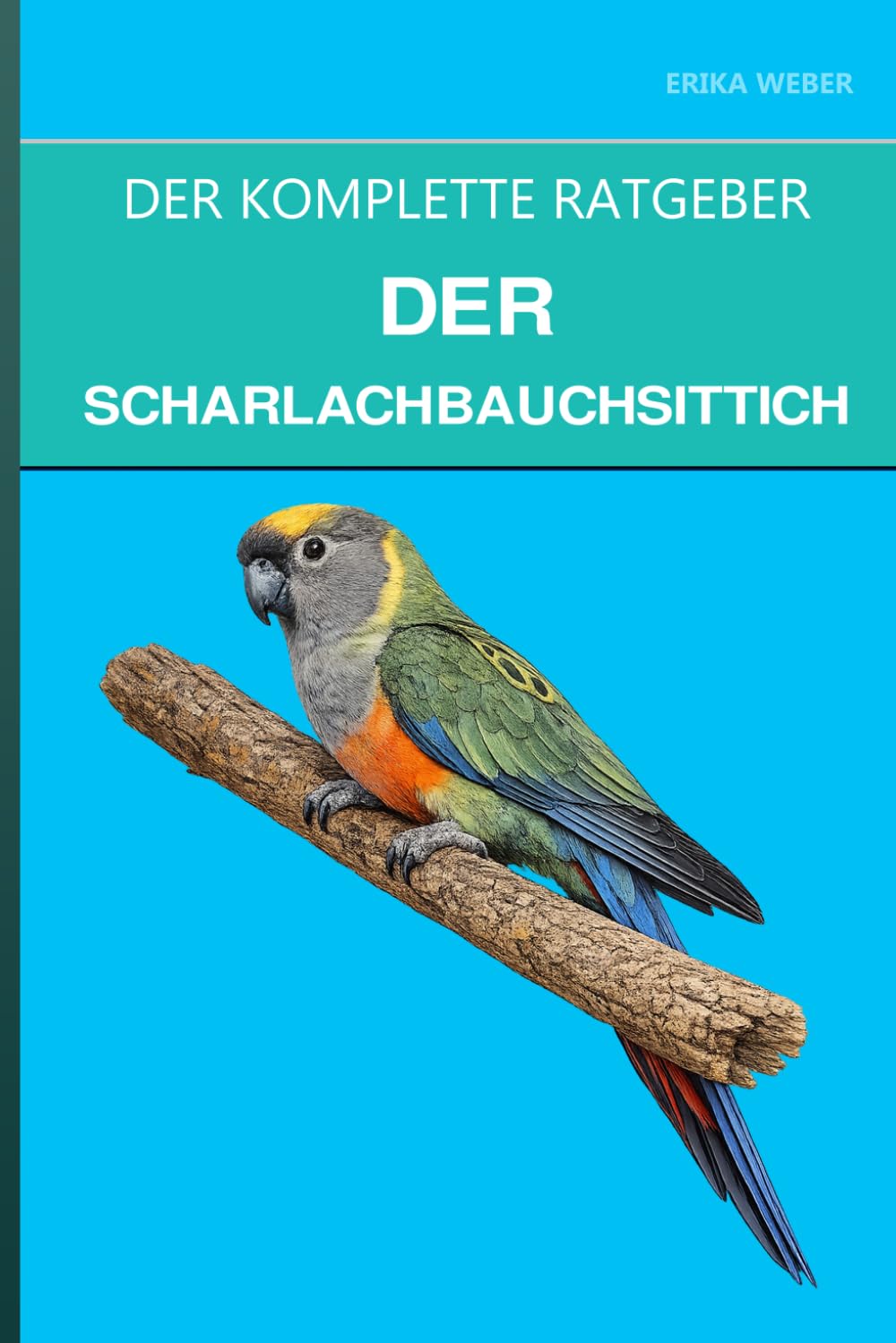 Der Scharlachbauchsittich: Ein vollständiger Leitfaden für Pflege, sanftes Temperament und den aufsteigenden Stern unter den Sittichen