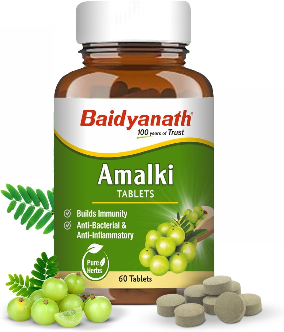 Baidyanath Ayurved Amlaki (Amla) | Helps to Build Immunity | Anti-Bacterial and Anti-Inflammatory | 60 TB