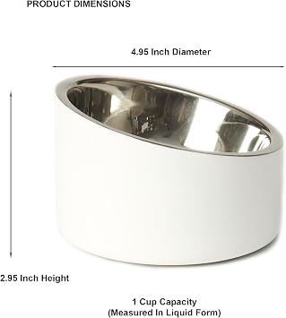 PetRageous 18438 Seychelles Stainless-Steel Slanted Double Walled Dog Bowl 4.95-Inch Width and 2.95-Inch Height 1-Cup Capacity, White