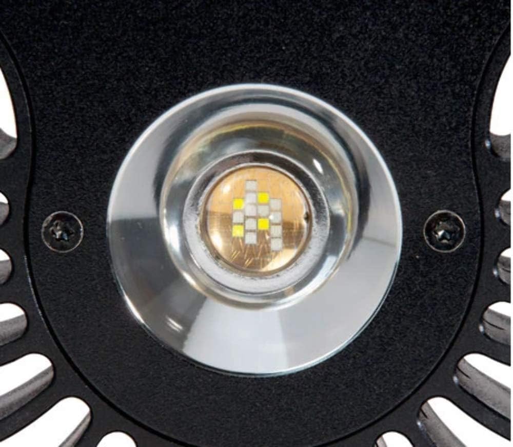 Kessil A80 Tuna Sun LED Light