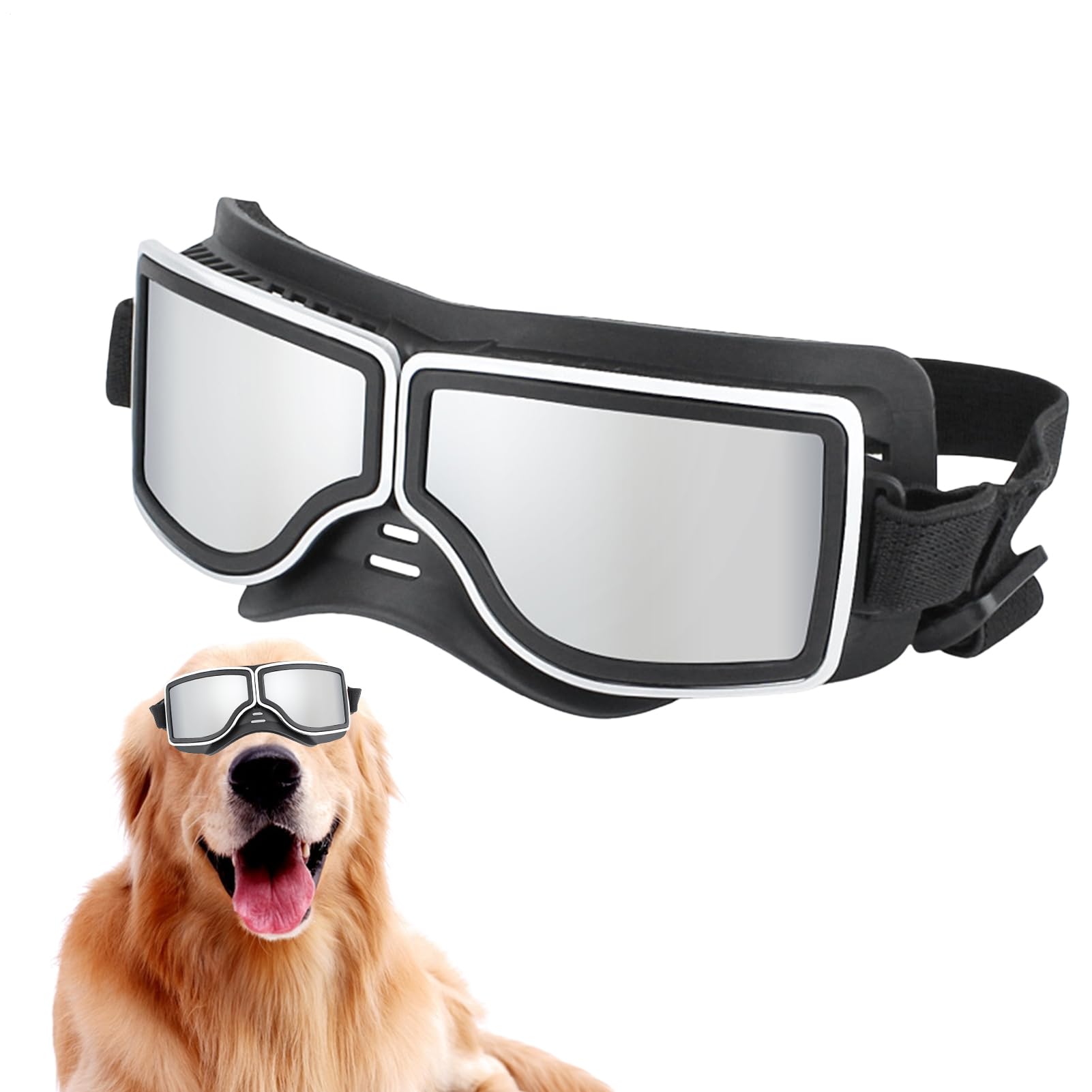 Lunettes pour chien contre les UV et le vent : protégez les yeux de votre grand animal