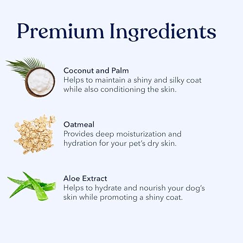 Miniatura 5 de Honest Paws Champú y acondicionador para perros, lavado prémium para perros para alergias y sequedad, picazón, hidratante para pieles sensibles, sin