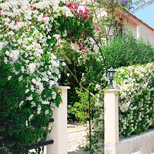 Best Goods Rozenboog metaal stabiel rozenboog halfrond tuinboog met versiering rankboog voor plant, rozenframe (koepel) - Image 7