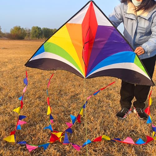Kaiciuss Large Rainbow Delta Kite for Kids Easy to Fly, Huge Single Line Style for Adults, 55" x 28" Easy Flying Triangle Shape, Comes with 300 FT String Kite Handle