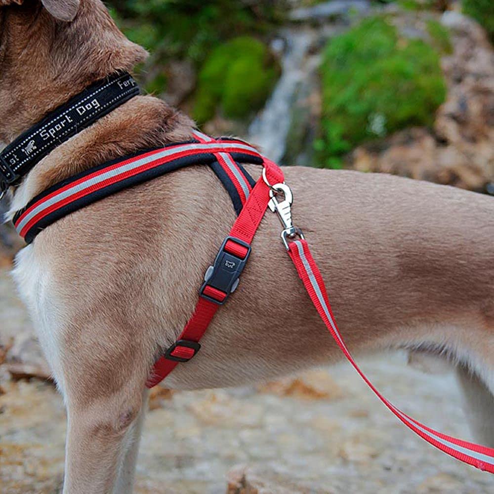 Ferplast Arnés para Perros Daytona Cross, Arnés para Perros Mediano/Grande en Nylon, Acolchado, Reflectante y Ajustable. con Hebilla magnética. Negro