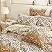 DaDa Bedding Bohemian Gallery of Roses Square Pillow Accent Euro Sham - 26