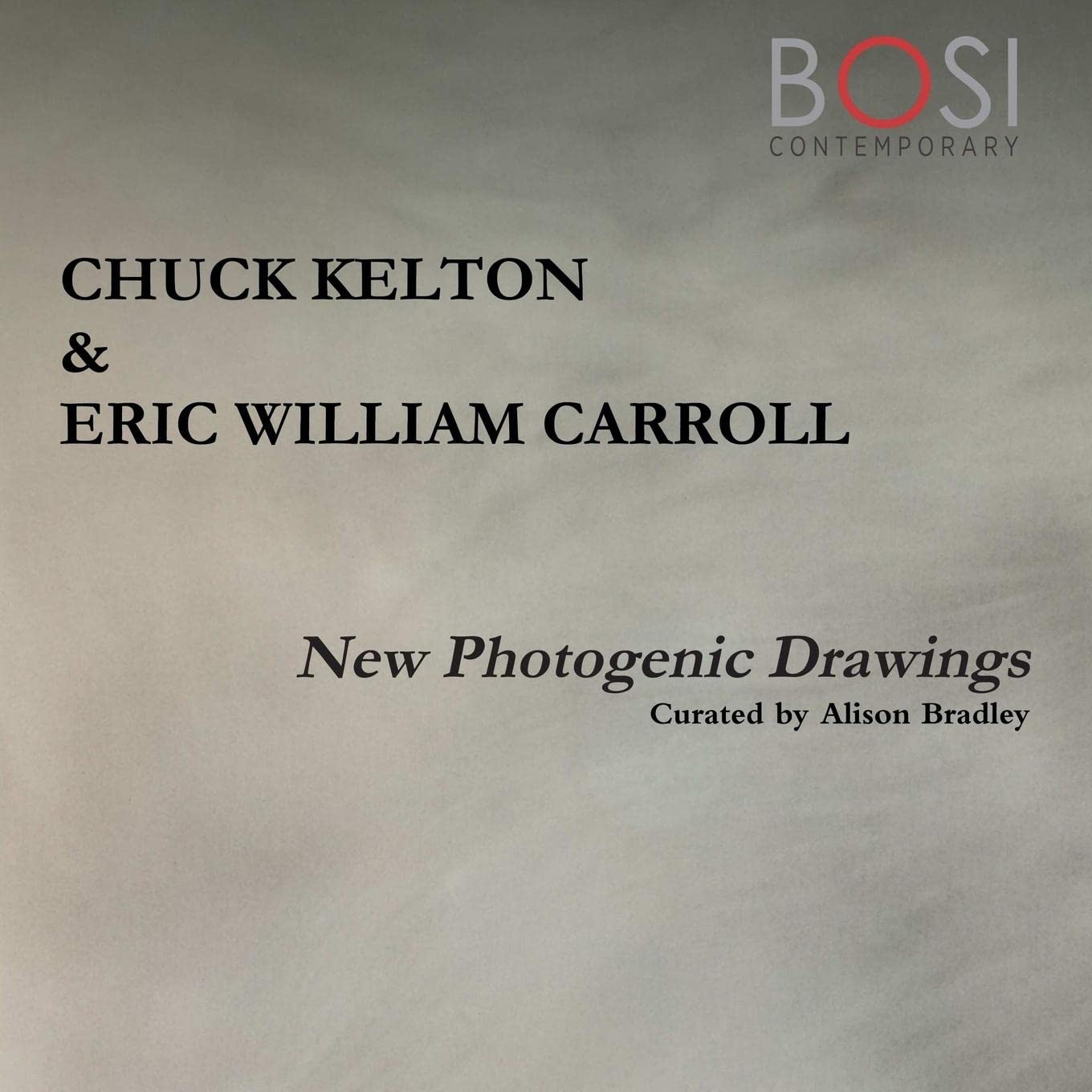 BOSI Contemporary GalleryNew Photogenic Drawings