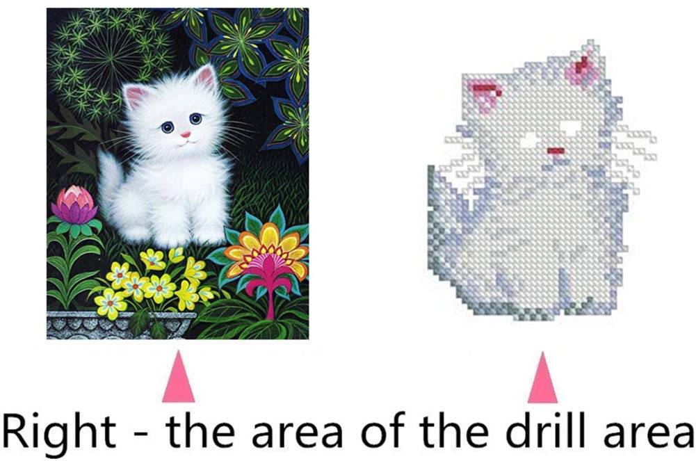 Kit Broderie Strass Kit Peinture Diamant 5D DIY - Orchidée Et