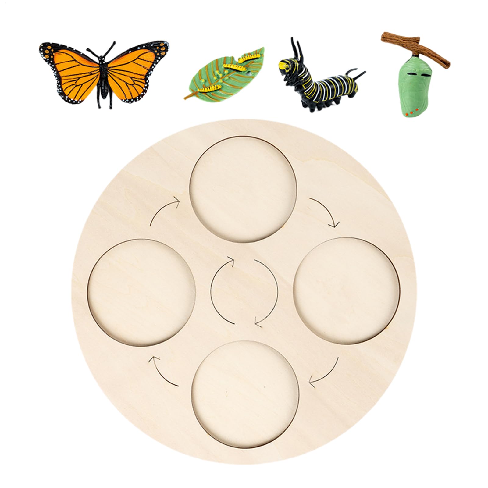 Cycle De Vie En Bois – Plateau D’Apprentissage Montessori – 26 Cm – Jeu Éducatif Insectes Et Animaux – Dès 3 Ans