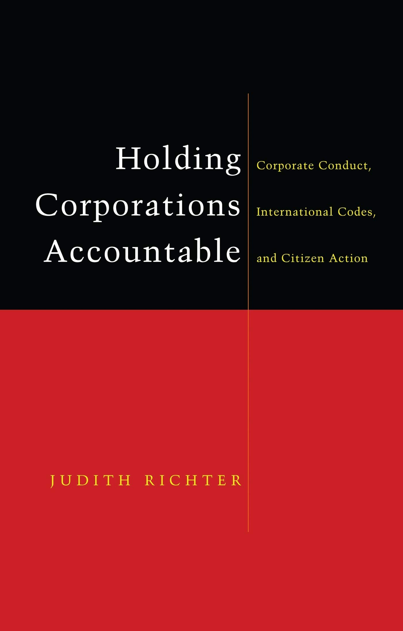 Buy Holding Corporations Accountable: Corporate Conduct, International Codes and Citizen Action — BookShops.in
