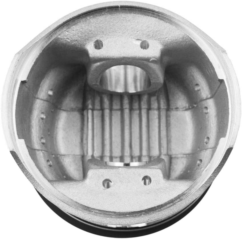 Road Passion Engine Piston and Rings Set for Suzuki GN250 1985-2001 Suzuki DR250 1982-1986 GZ250 Marauder 1999-2011 TU250 1997-2001 (Oversize +100 73mm;1 Set)