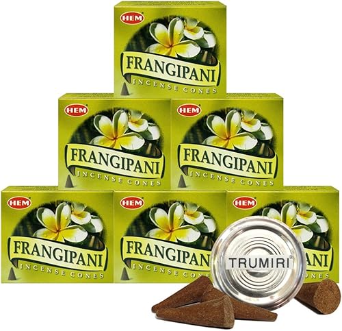 Vista 146 de TRUMIRI Paquete de soporte para cono de incienso con dobladillo de conos de incienso de copal, paquete de 6 (aproximadamente 60 conos)