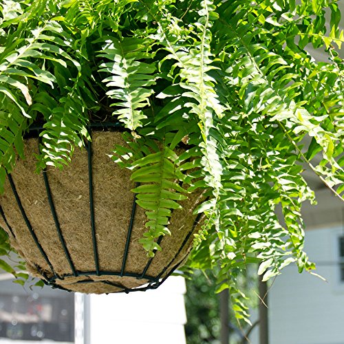 Magnimoist Pre-Cut Basket Liner, For 12 - 14 Inch Baskets #TOP1