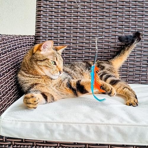 PET GAMES - Brinquedo Interativo Varinha de 1m Super Resistente para Gatos com 3 Iscas Penadas - FLY