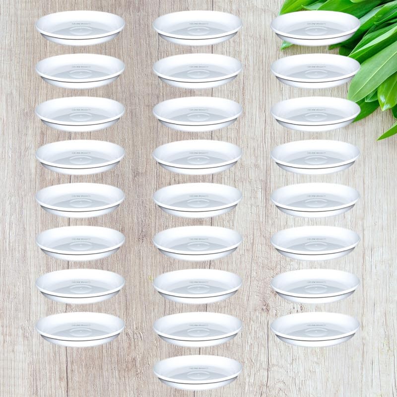 See full amazon price history chart for RGDECOR Set of 25-8 Inches - White Pot Plates for Plants - Flower Pot Base Plate - Bottom Plate for Pots - Bottom Tray for Flower Pots Tray - Planter Plate - Plant Saucer Plate - Plant Pot Tray RGDECOR Set of 25-8 Inches - White Pot Plates for Plants - Flower Pot Base Plate - Bottom Plate for Pots - Bottom Tray for Flower Pots Tray - Planter Plate - Plant Saucer Plate - Plant Pot Tray (B0BPF3625R) Amazon Price History, Amazon Price Tracker