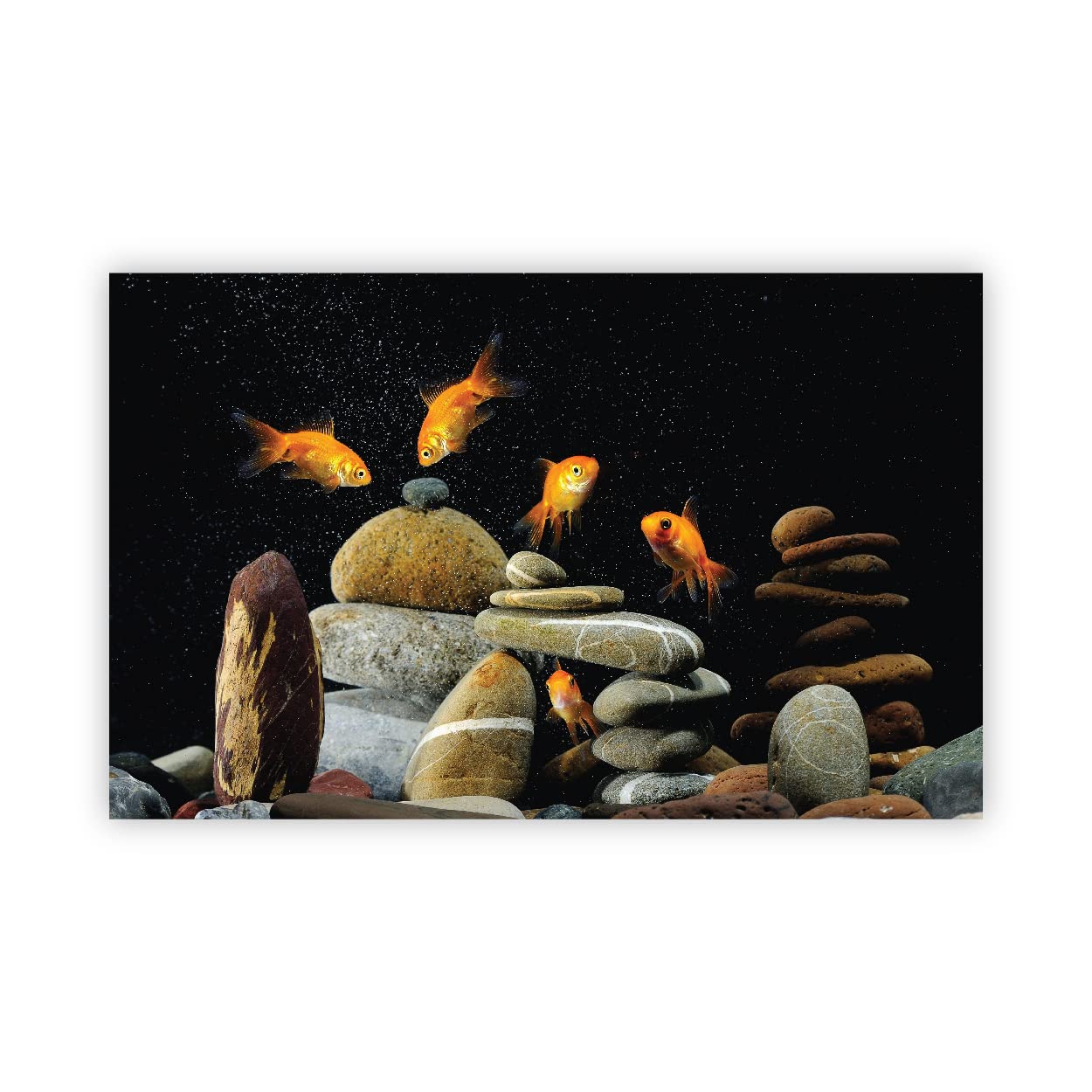 VVWV® Aquirium Background Stickers for Fish Tank Waterproof Vinyl Printed Sticker (Gold Fish) (61 x 30 CMS) (B0BW4DZ7CD) Amazon Price History, Amazon Price Tracker