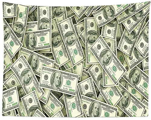 Fond billets dollar US tissu argent impression haute définition BELECO 3x2m