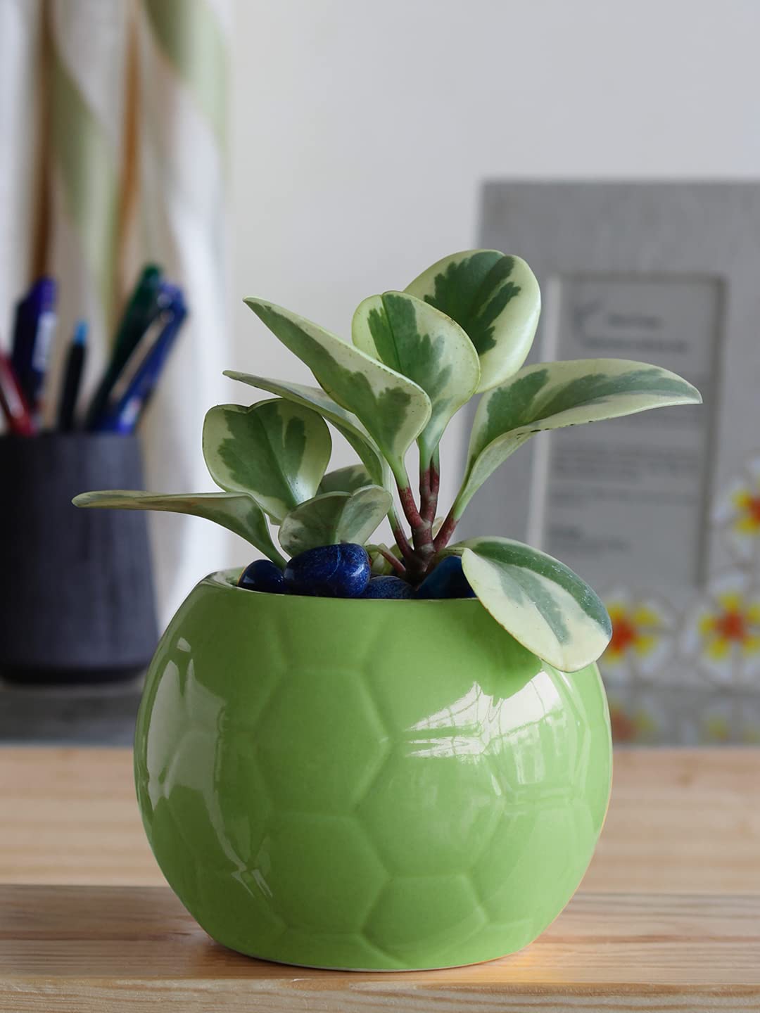 UGAOO Football Ceramic Pot (Light Green)