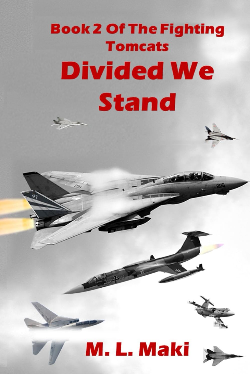 Divided We Stand: 2 (THE FIGHTING TOMCATS)