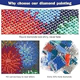 MXJSUA B079117T4B lato 4