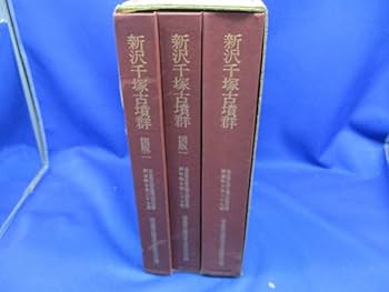 Amazon.co.jp: 新沢千塚古墳群/奈良県史跡名勝天然記念物調査