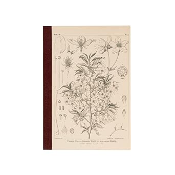 Tomitaro Makino/Almost Daily Square Notebook A5 Yamazakura 3.7 mm Square 288 Pages, 4 Color Grid, Notebook Accessory
