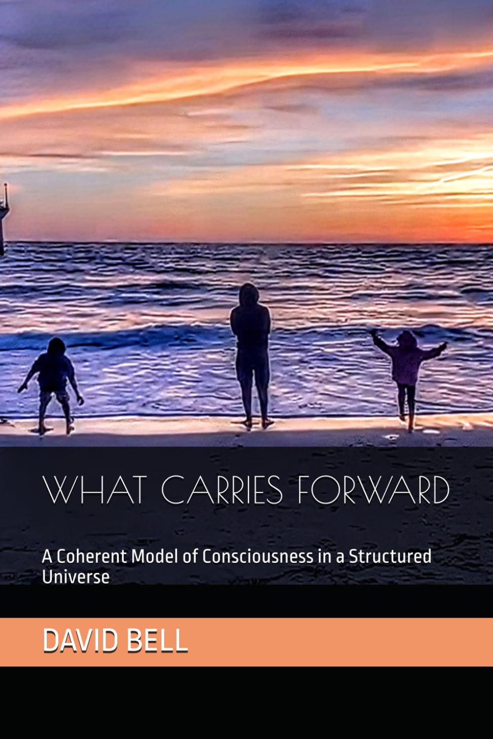 WHAT CARRIES FORWARD: A Coherent Model of Consciousness in a Structured Universe